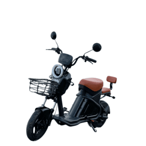Scooter WD-2