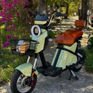 Scooter WD-2 S